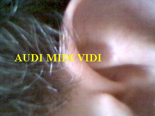      AUDI MIDI VIDI